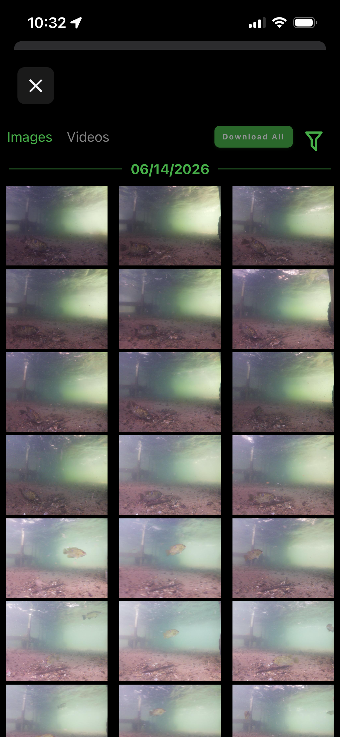 The Photo Gallery