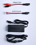 LiFePO4 Lithium Battery 3A Charger