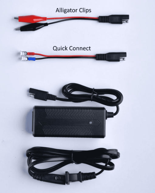 LiFePO4 Lithium Battery 3A Charger